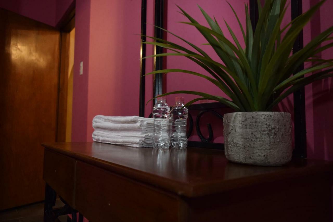 Casa Jardin Reforma 3*